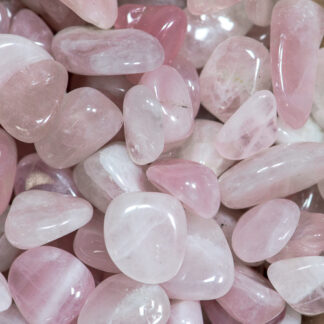 Rose Quartz Tumbles Crystals Smudge SA Crystals