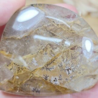 RARE Dendritic Golden Healer Freeform ~ 1